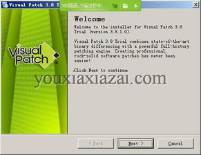 Visual Patch汉化版下载与补丁制作工具3.8.1的软件开发及维护指南